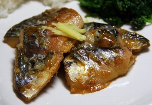 20090921_sabamisoni_021